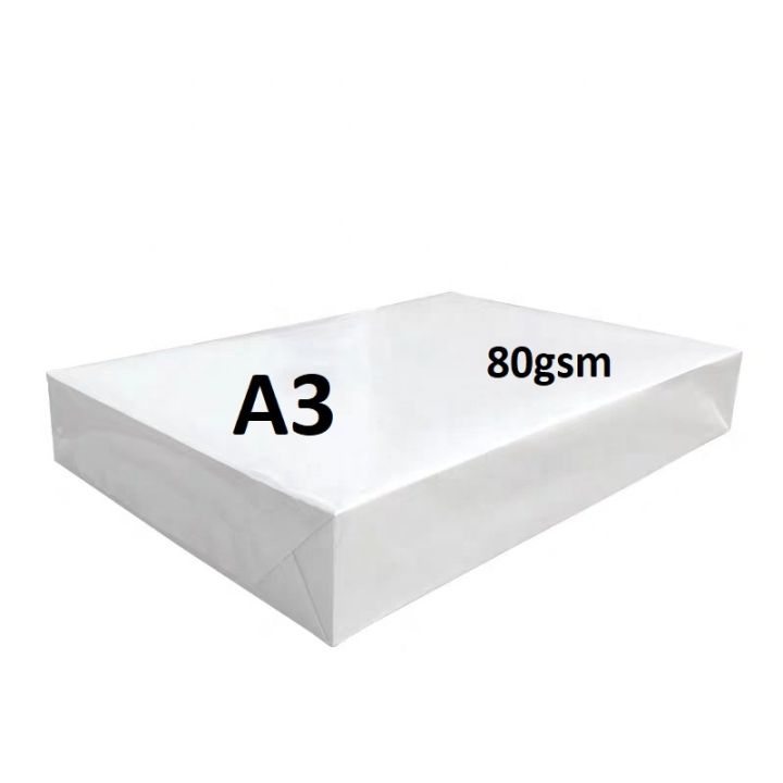 A3 (7)